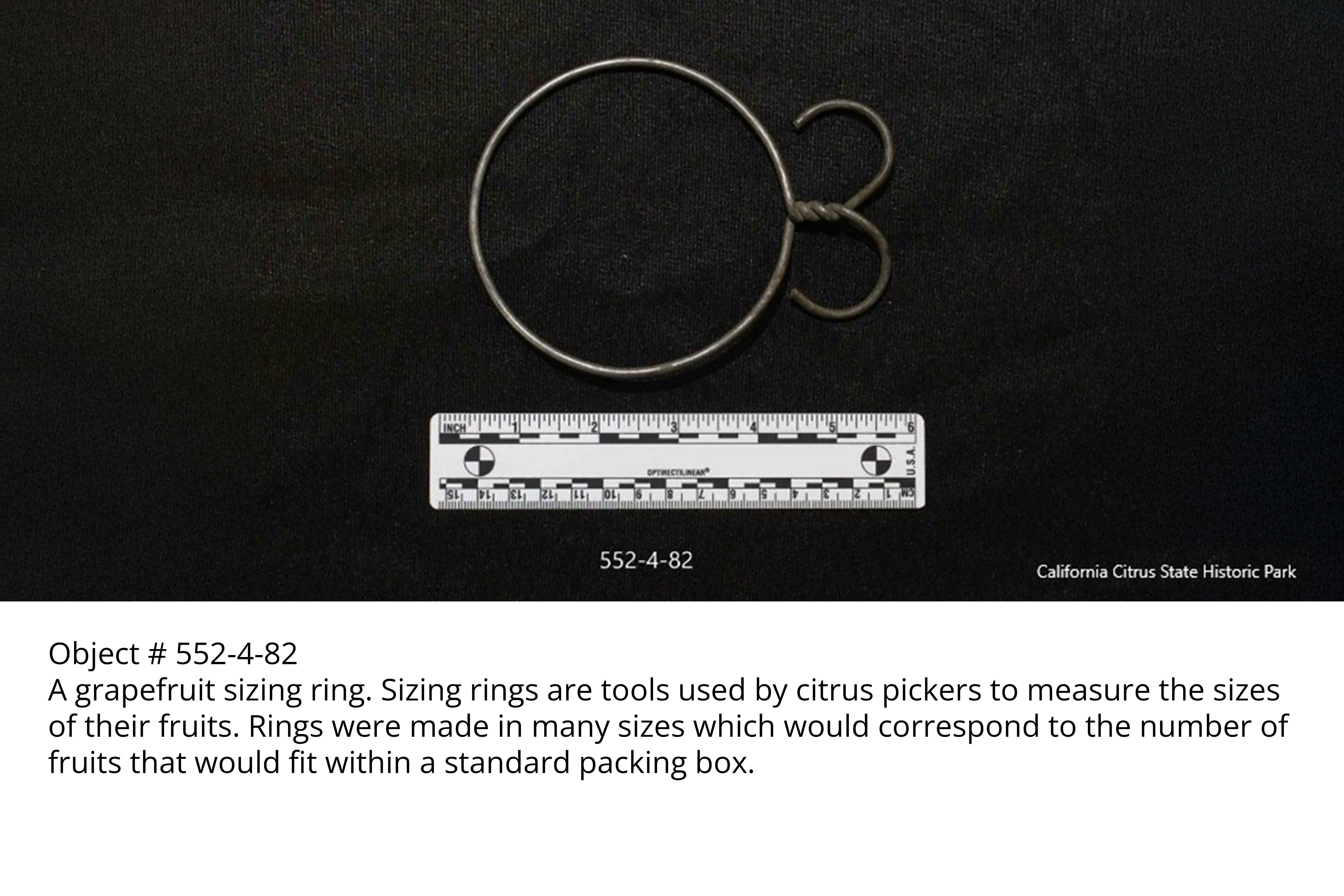 A grapefruit sizing ring